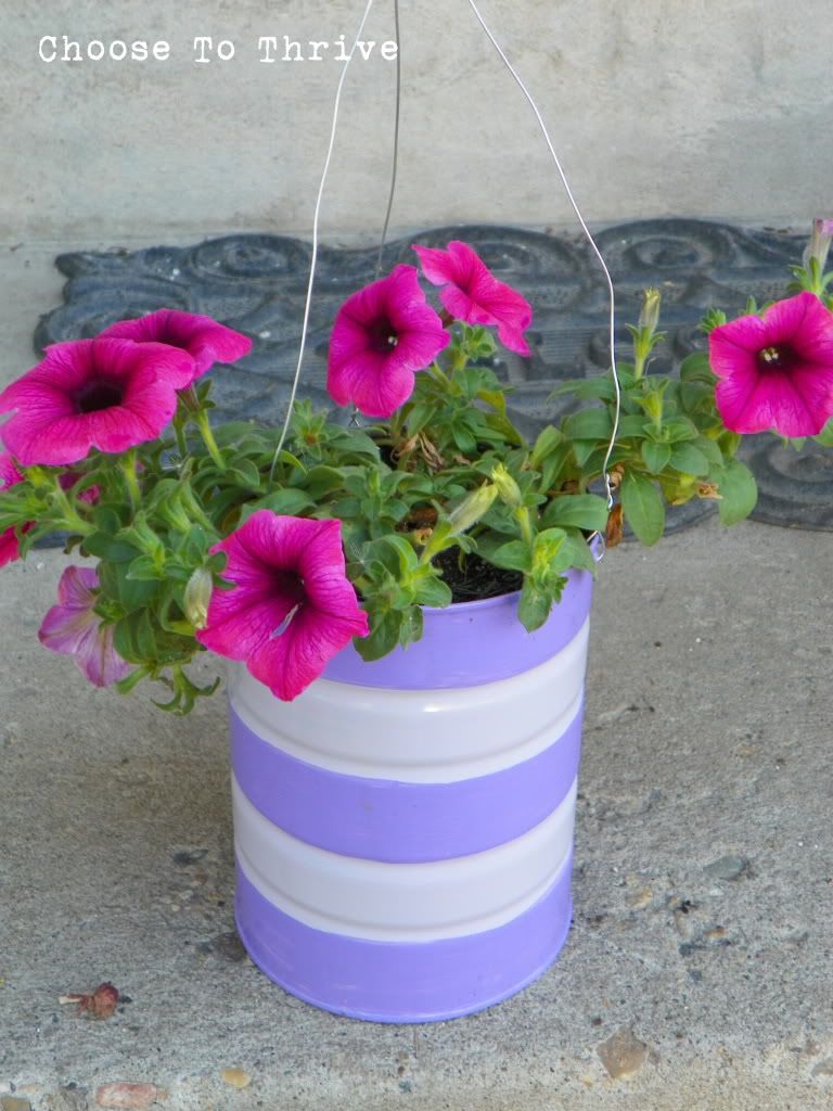 Thrive Hanging Baskets … out of formula!